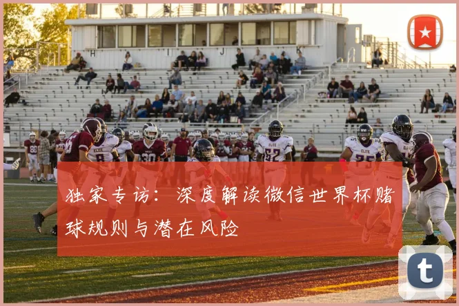 独家专访:深度解读微信世界杯赌球规则与潜在风险