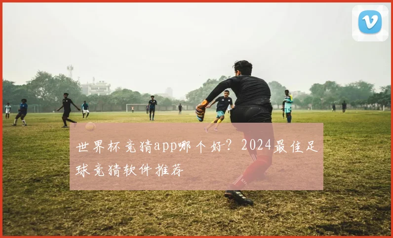 世界杯竞猜app哪个好？2024最佳足球竞猜软件推荐