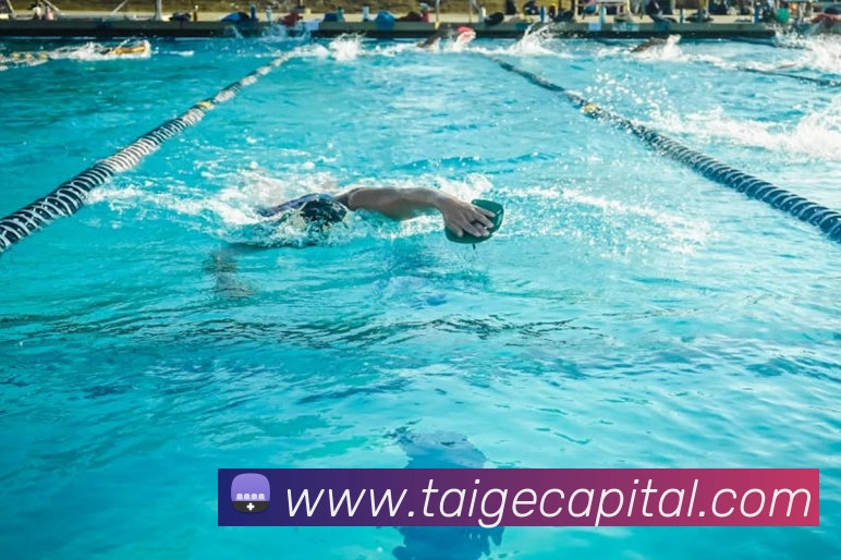 开云app官方版入口app发展历程